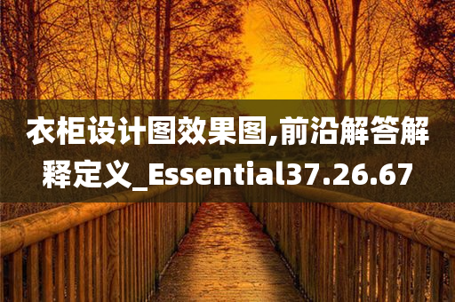 衣柜设计图效果图,前沿解答解释定义_Essential37.26.67