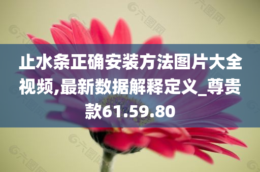 止水条正确安装方法图片大全视频,最新数据解释定义_尊贵款61.59.80