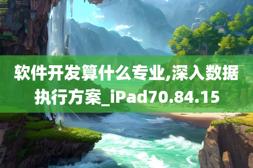 软件开发算什么专业,深入数据执行方案_iPad70.84.15