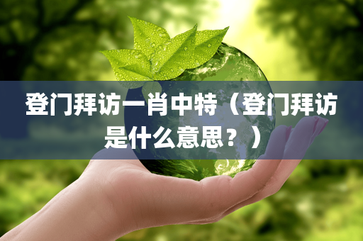 登门拜访一肖中特（登门拜访是什么意思？）