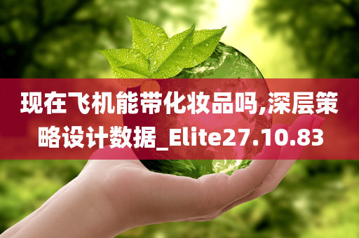 现在飞机能带化妆品吗,深层策略设计数据_Elite27.10.83