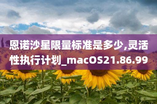 恩诺沙星限量标准是多少,灵活性执行计划_macOS21.86.99