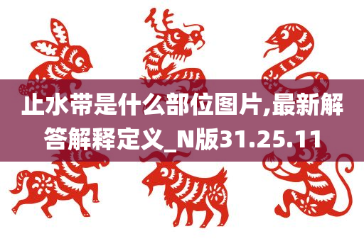 止水带是什么部位图片,最新解答解释定义_N版31.25.11