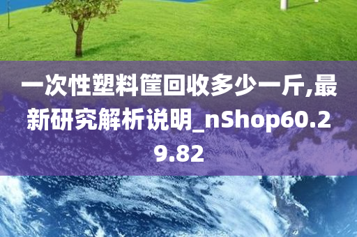 一次性塑料筐回收多少一斤,最新研究解析说明_nShop60.29.82