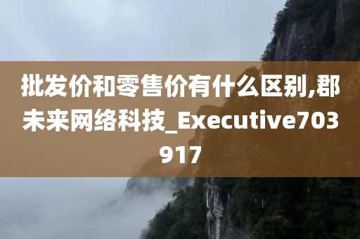 批发价和零售价有什么区别,郡未来网络科技_Executive703917