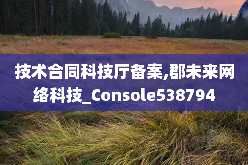 技术合同科技厅备案,郡未来网络科技_Console538794