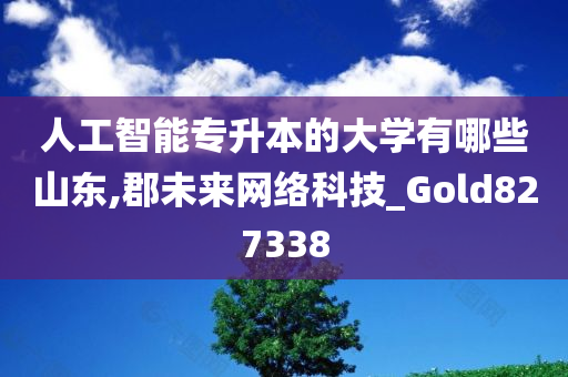 人工智能专升本的大学有哪些山东,郡未来网络科技_Gold827338