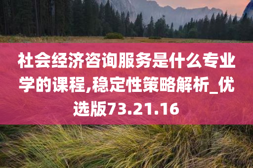 社会经济咨询服务是什么专业学的课程,稳定性策略解析_优选版73.21.16