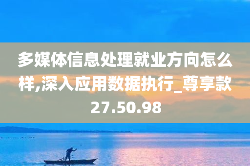 多媒体信息处理就业方向怎么样,深入应用数据执行_尊享款27.50.98