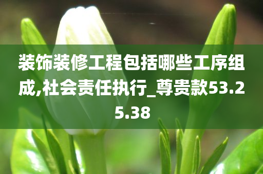 装饰装修工程包括哪些工序组成,社会责任执行_尊贵款53.25.38