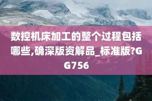 数控机床加工的整个过程包括哪些,确深版资解品_标准版?GG756