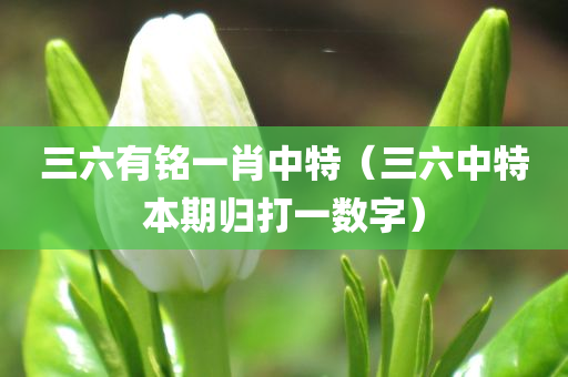 三六有铭一肖中特（三六中特本期归打一数字）