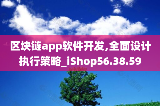 区块链app软件开发,全面设计执行策略_iShop56.38.59