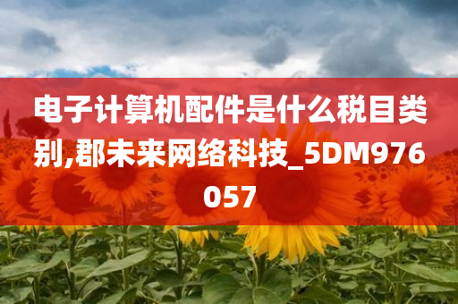 电子计算机配件是什么税目类别,郡未来网络科技_5DM976057