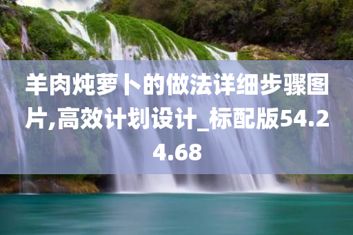 羊肉炖萝卜的做法详细步骤图片,高效计划设计_标配版54.24.68