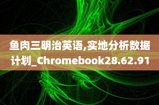 鱼肉三明治英语,实地分析数据计划_Chromebook28.62.91