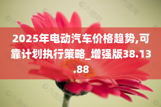 2025年电动汽车价格趋势,可靠计划执行策略_增强版38.13.88