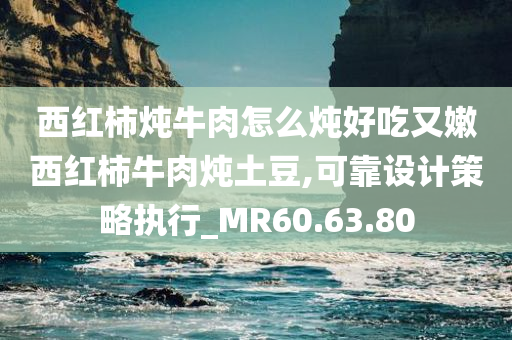 西红柿炖牛肉怎么炖好吃又嫩西红柿牛肉炖土豆,可靠设计策略执行_MR60.63.80