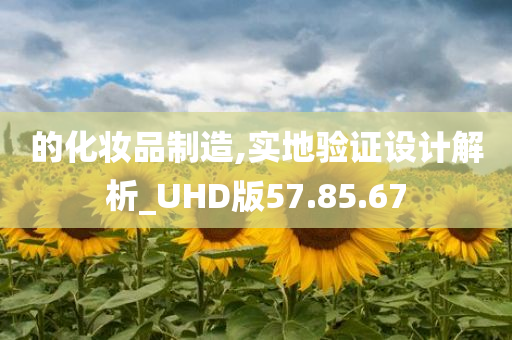 的化妆品制造,实地验证设计解析_UHD版57.85.67