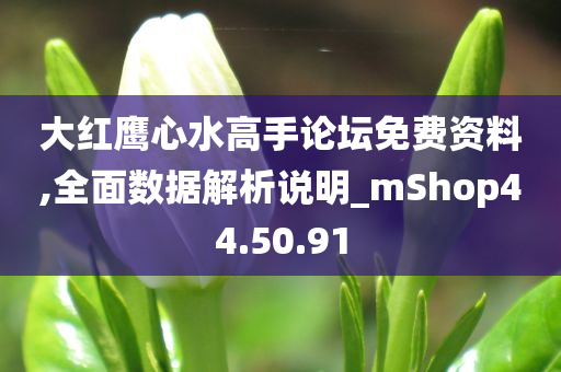 大红鹰心水高手论坛免费资料,全面数据解析说明_mShop44.50.91