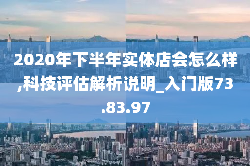 2020年下半年实体店会怎么样,科技评估解析说明_入门版73.83.97