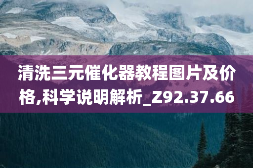 清洗三元催化器教程图片及价格,科学说明解析_Z92.37.66