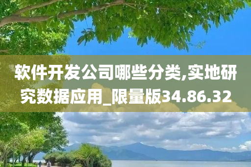 软件开发公司哪些分类,实地研究数据应用_限量版34.86.32