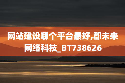 网站建设哪个平台最好,郡未来网络科技_BT738626