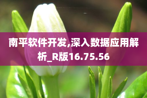 南平软件开发,深入数据应用解析_R版16.75.56