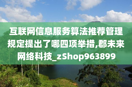 互联网信息服务算法推荐管理规定提出了哪四项举措,郡未来网络科技_zShop963899