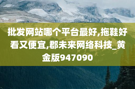 批发网站哪个平台最好,拖鞋好看又便宜,郡未来网络科技_黄金版947090