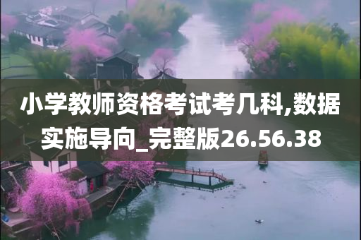 小学教师资格考试考几科,数据实施导向_完整版26.56.38