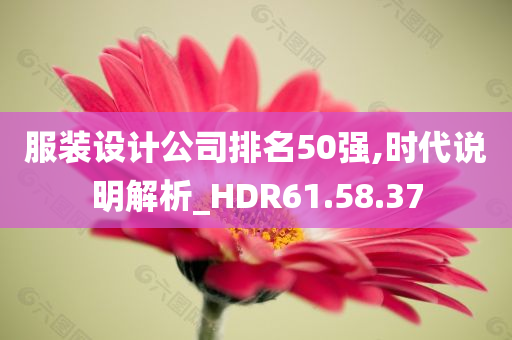 服装设计公司排名50强,时代说明解析_HDR61.58.37