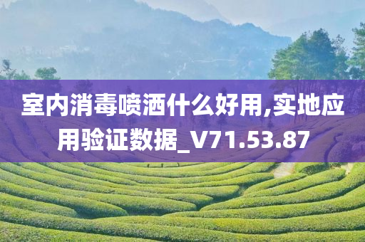 室内消毒喷洒什么好用,实地应用验证数据_V71.53.87