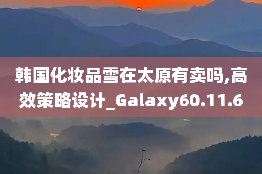 韩国化妆品雪在太原有卖吗,高效策略设计_Galaxy60.11.60