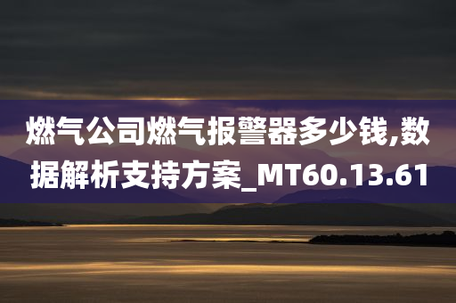 燃气公司燃气报警器多少钱,数据解析支持方案_MT60.13.61