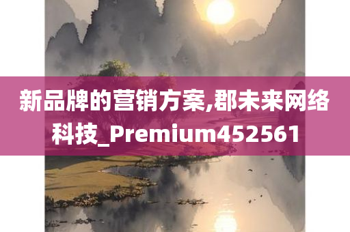 新品牌的营销方案,郡未来网络科技_Premium452561