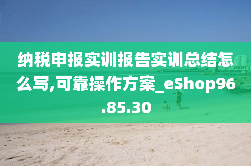 纳税申报实训报告实训总结怎么写,可靠操作方案_eShop96.85.30