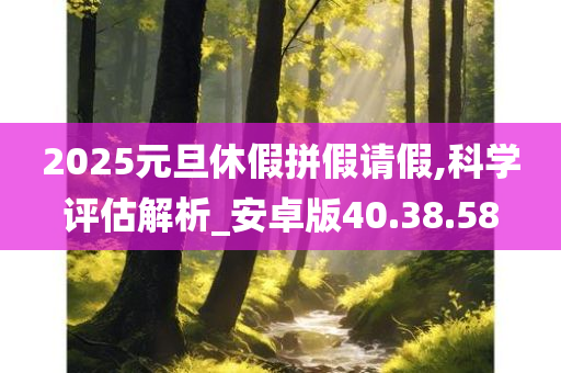 2025元旦休假拼假请假,科学评估解析_安卓版40.38.58