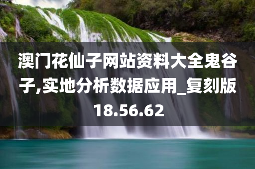 澳门花仙子网站资料大全鬼谷子,实地分析数据应用_复刻版18.56.62