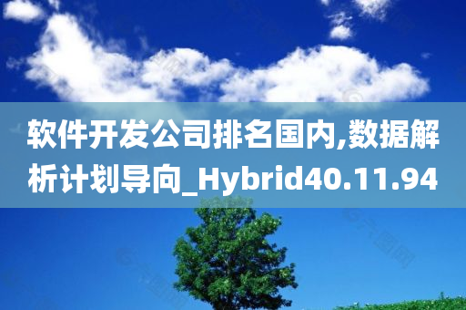 软件开发公司排名国内,数据解析计划导向_Hybrid40.11.94