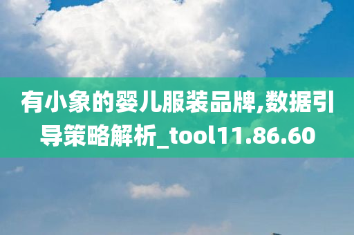 有小象的婴儿服装品牌,数据引导策略解析_tool11.86.60