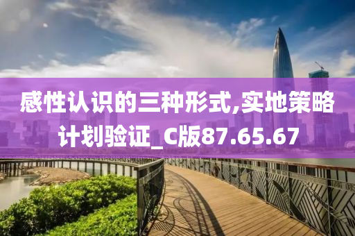 感性认识的三种形式,实地策略计划验证_C版87.65.67