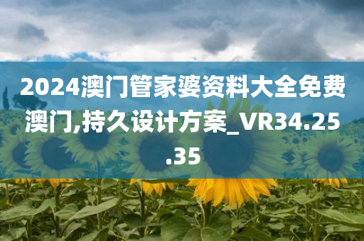 2024澳门管家婆资料大全免费澳门,持久设计方案_VR34.25.35