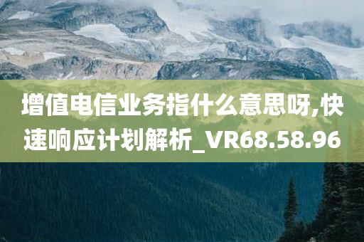 增值电信业务指什么意思呀,快速响应计划解析_VR68.58.96