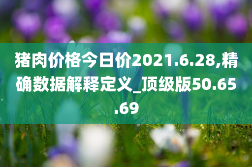 猪肉价格今日价2021.6.28,精确数据解释定义_顶级版50.65.69