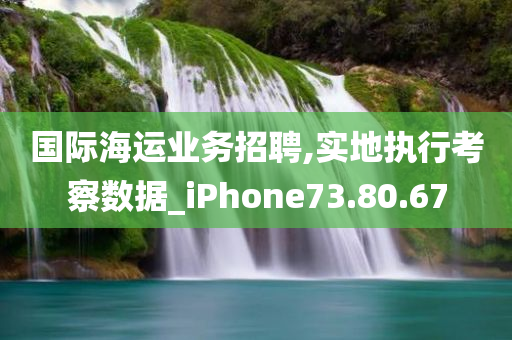 国际海运业务招聘,实地执行考察数据_iPhone73.80.67