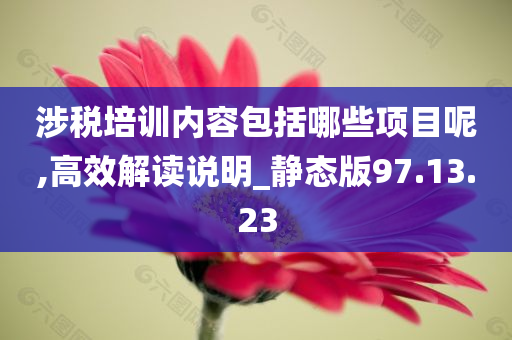 涉税培训内容包括哪些项目呢,高效解读说明_静态版97.13.23