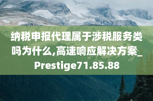 纳税申报代理属于涉税服务类吗为什么,高速响应解决方案_Prestige71.85.88