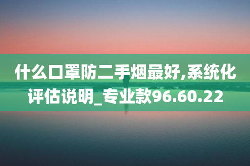 什么口罩防二手烟最好,系统化评估说明_专业款96.60.22